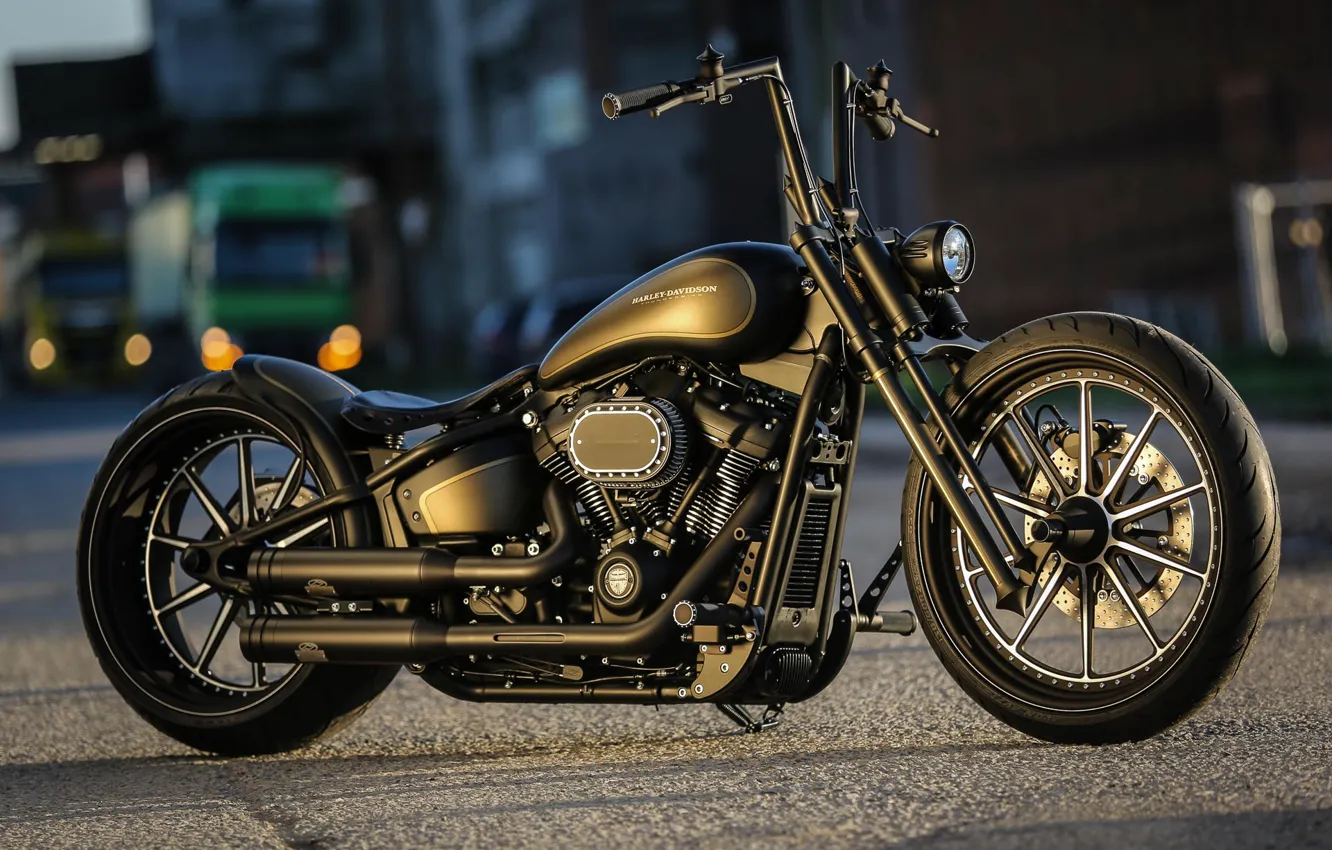 Photo wallpaper Harley-Davidson, Custom, Softail, Motorbike, Thunderbike