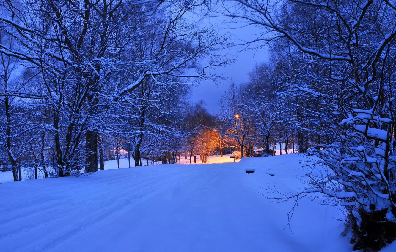 Photo wallpaper winter, road, light, snow, trees, night, lights, the evening