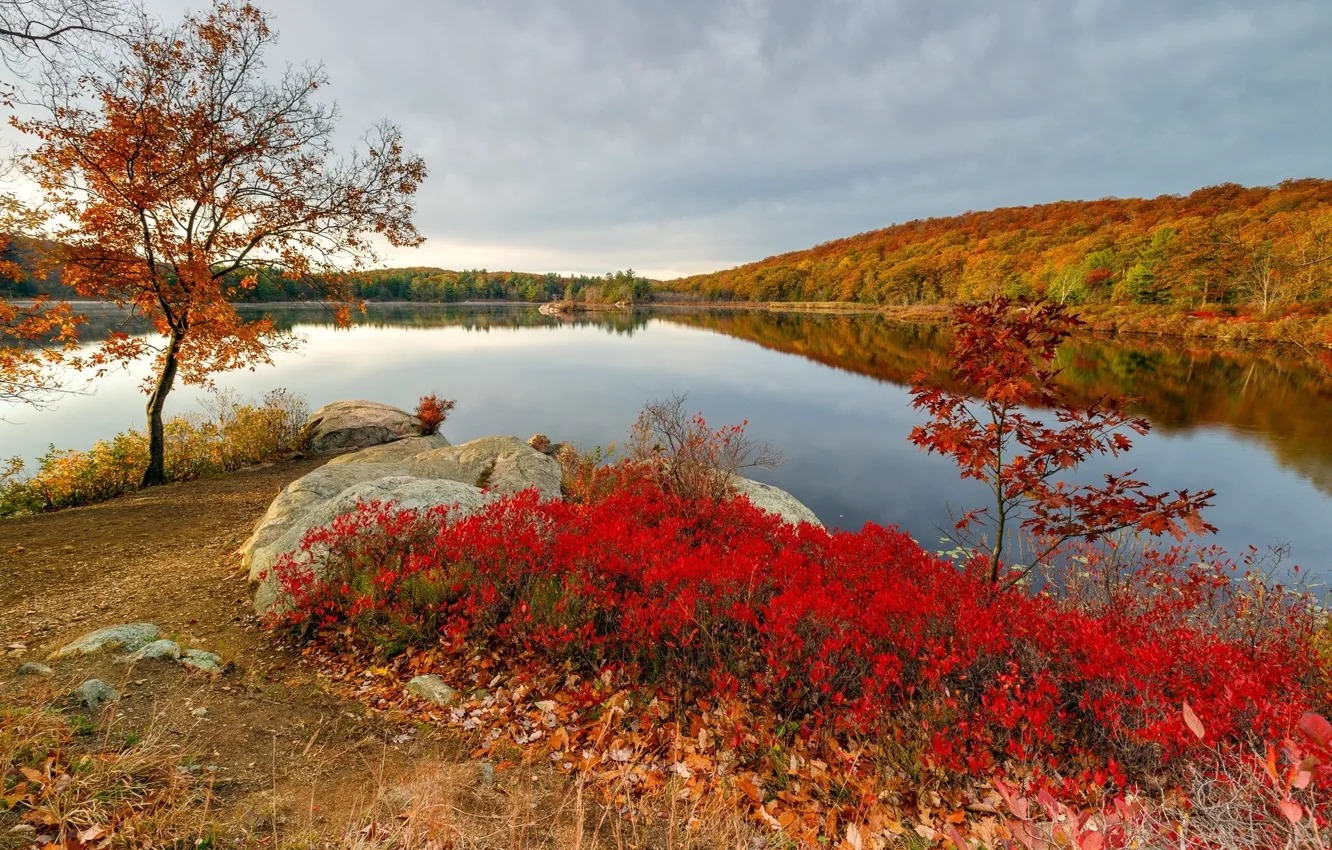 Photo wallpaper autumn, nature, Beauty, Landscape
