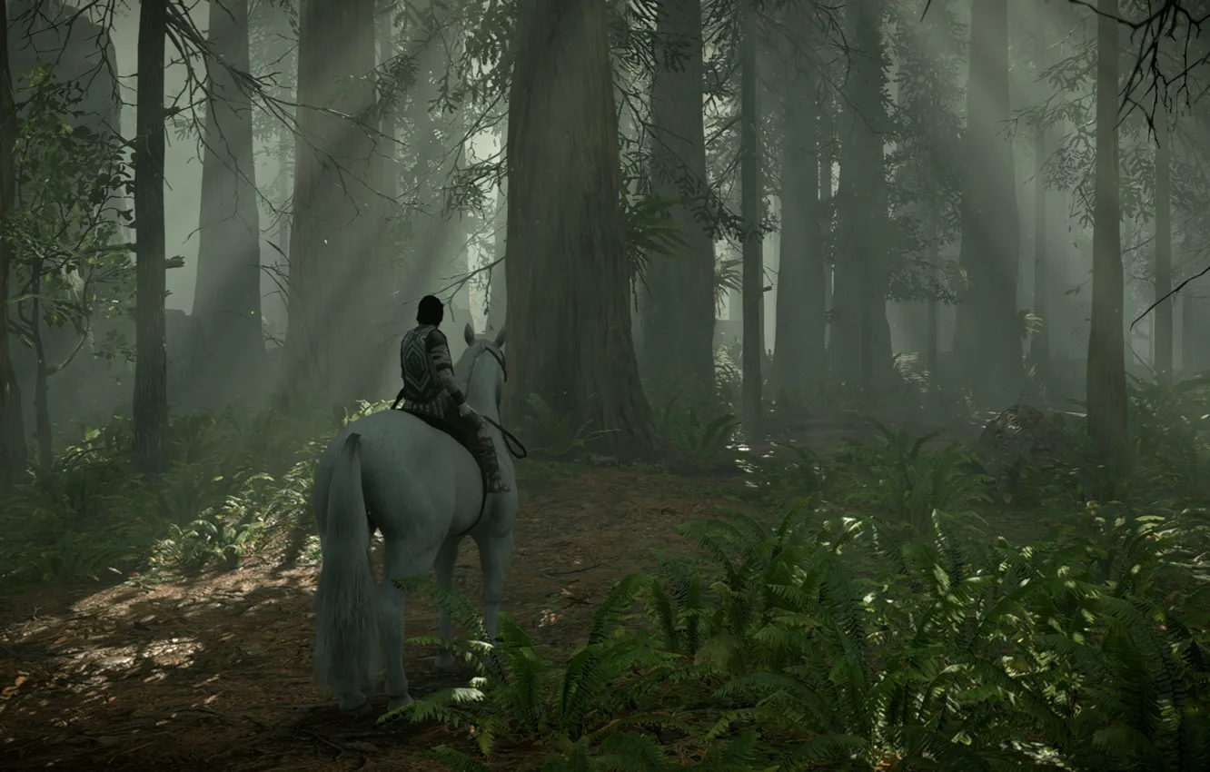 Photo wallpaper forest, rays, trees, Shadow of the Colossus, In the shadow of the colossus