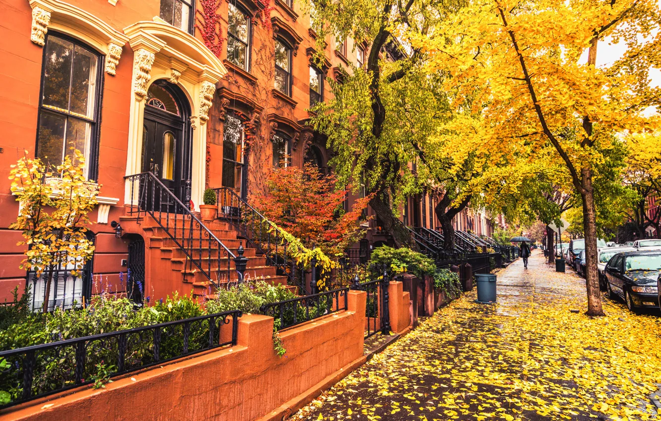 Photo wallpaper autumn, leaves, girl, trees, umbrella, street, foliage, New York