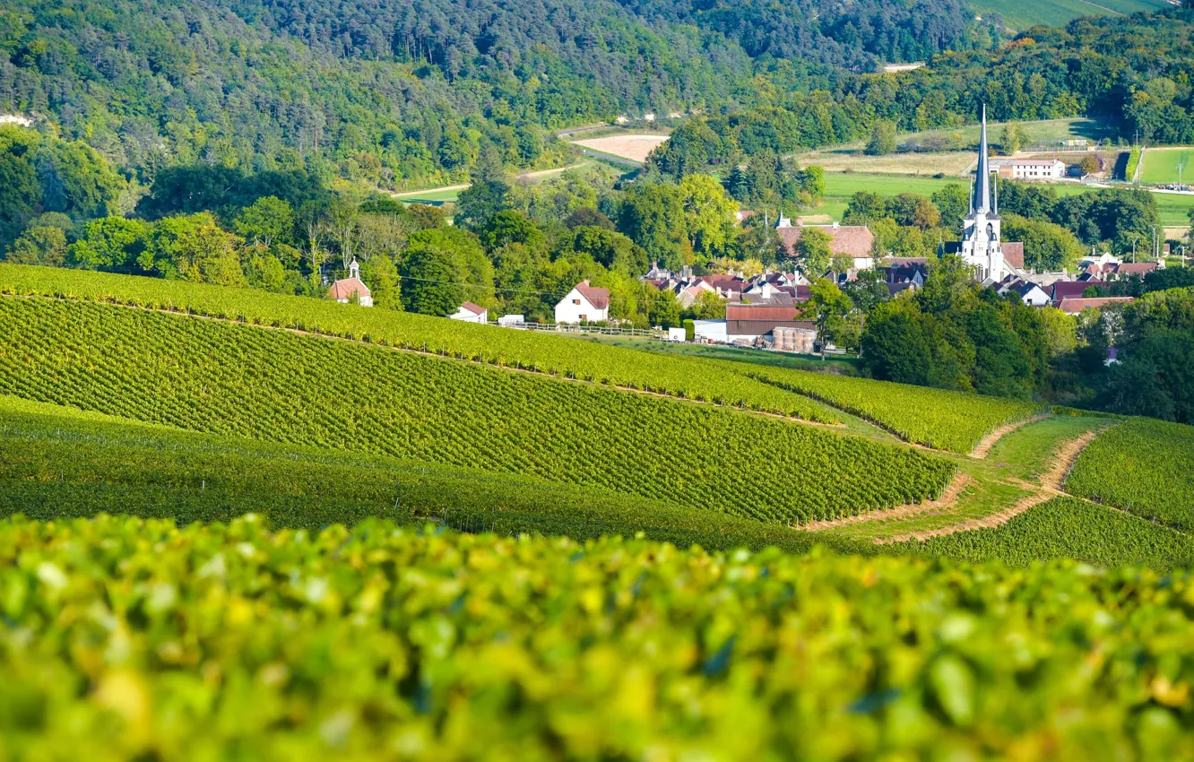 Photo wallpaper mountains, the city, vineyard, France, champagne