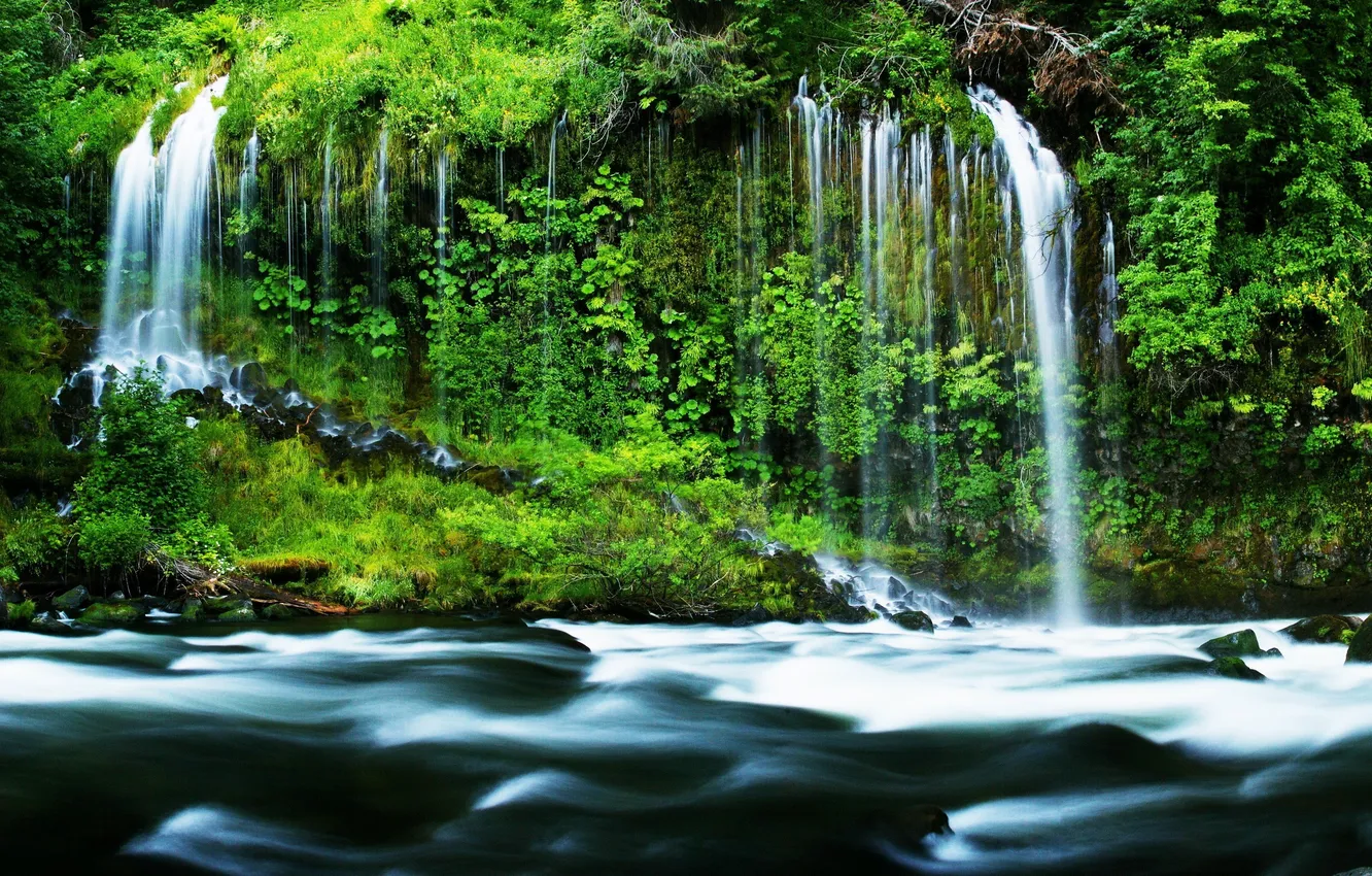 Photo wallpaper forest, nature, river, waterfall, forest, river, nature, waterfalls