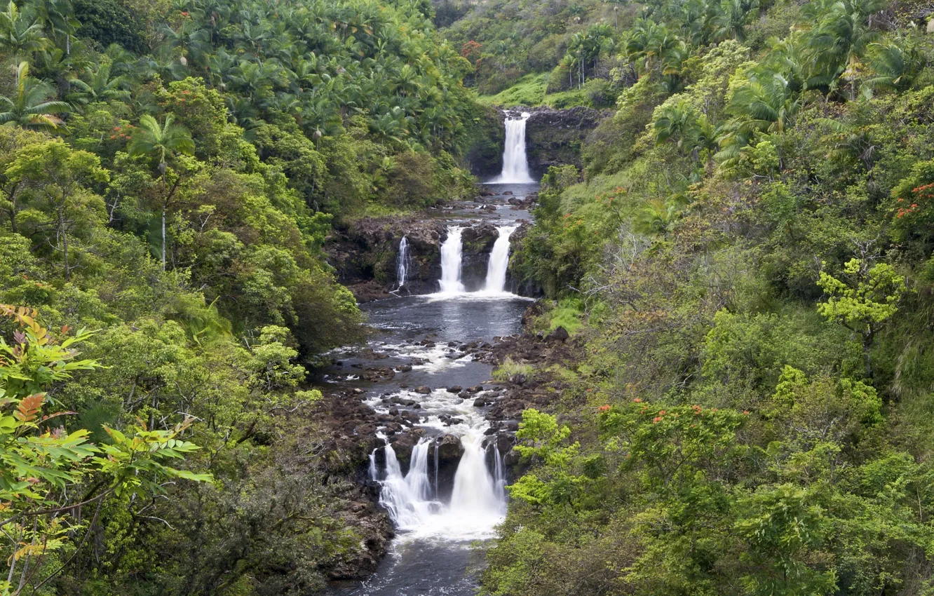 Photo wallpaper forest, river, waterfall, Hawaii, cascade