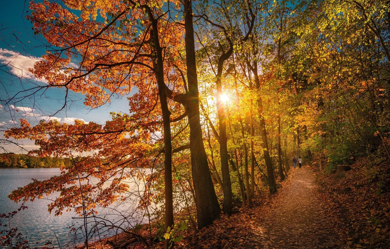 Photo wallpaper road, autumn, forest, people, morning