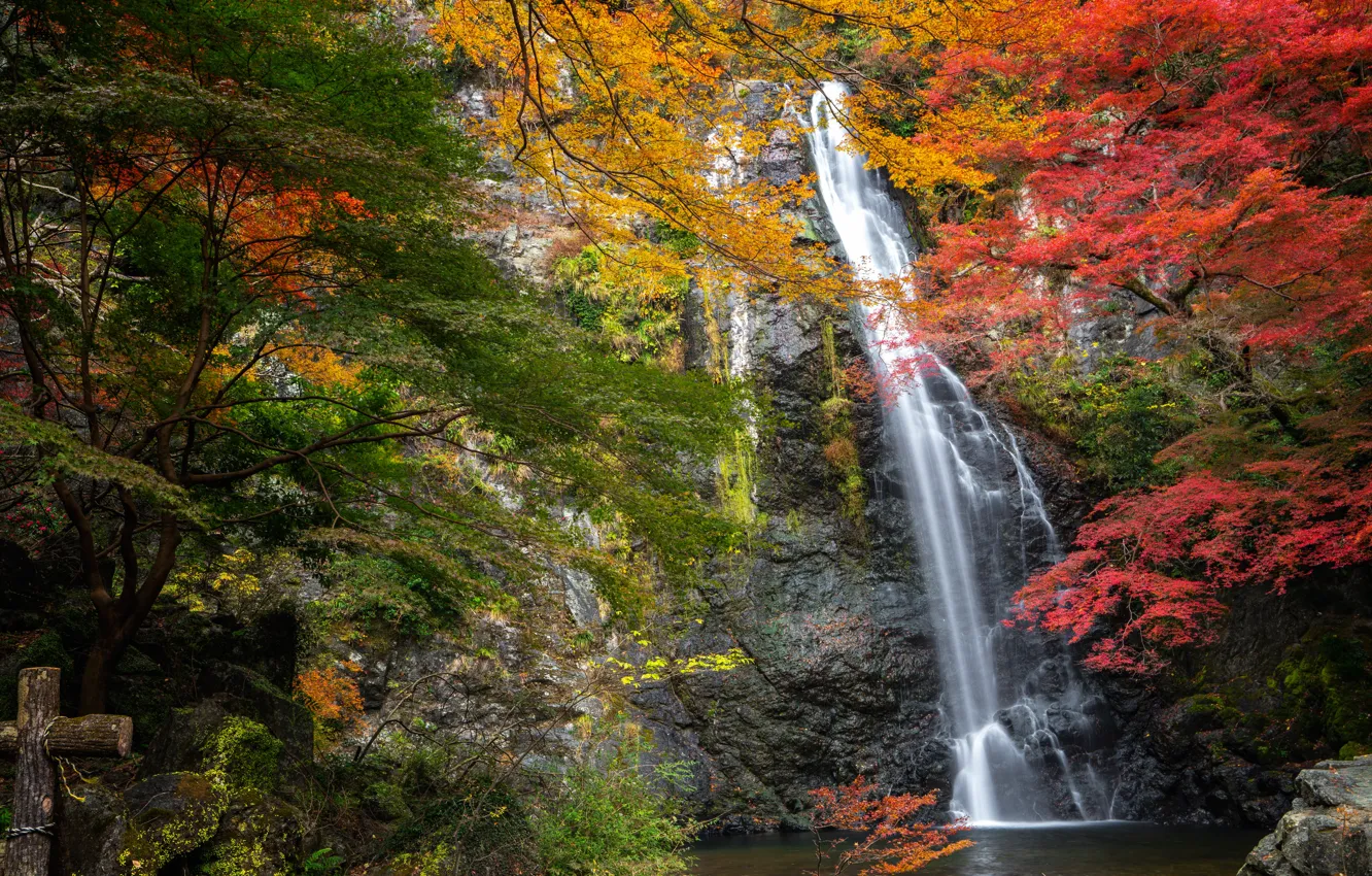 Photo wallpaper autumn, trees, rock, Park, waterfall, Japan, Japan, Osaka