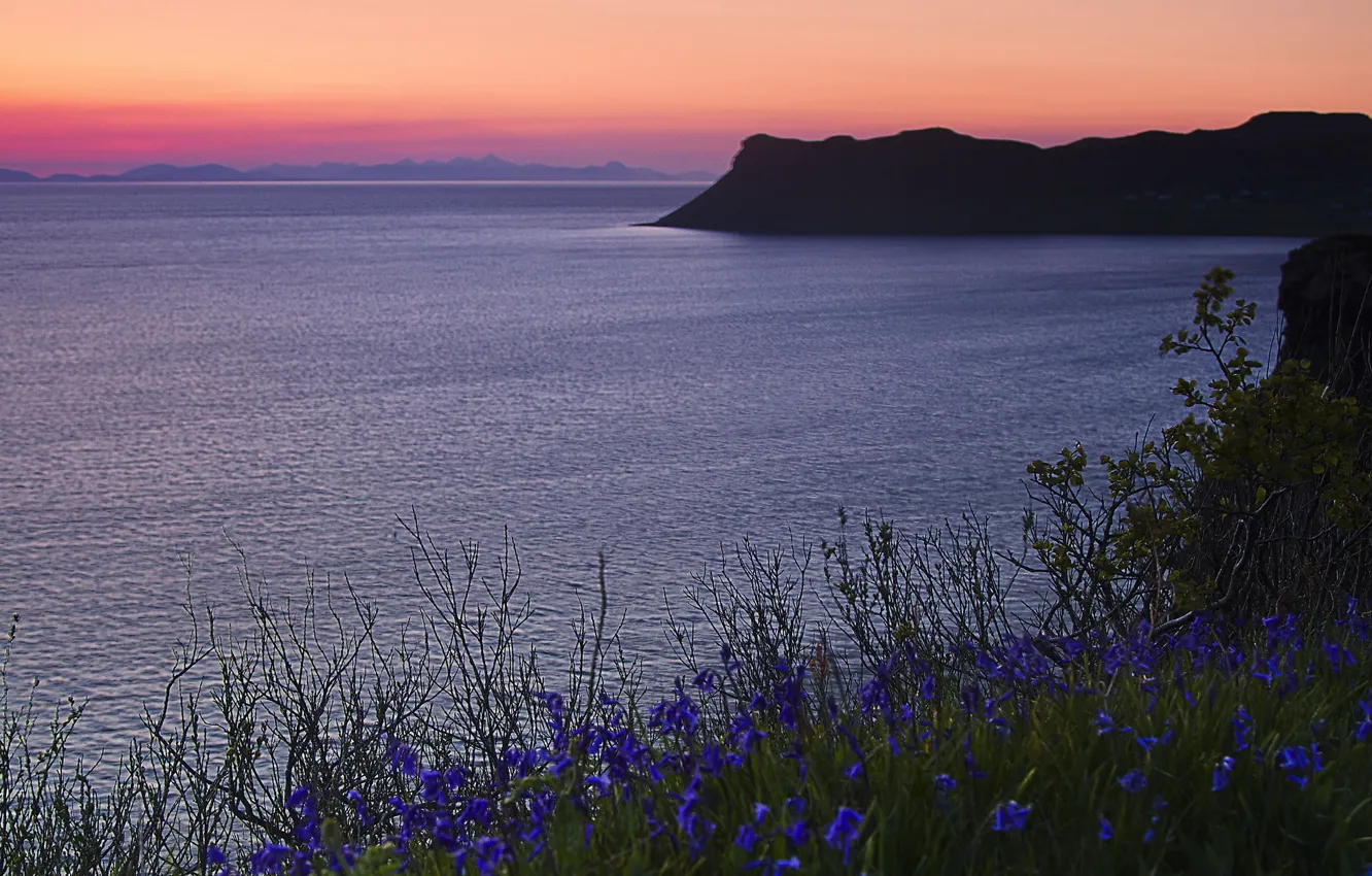 Photo wallpaper sea, sunset, flowers, blue, shore
