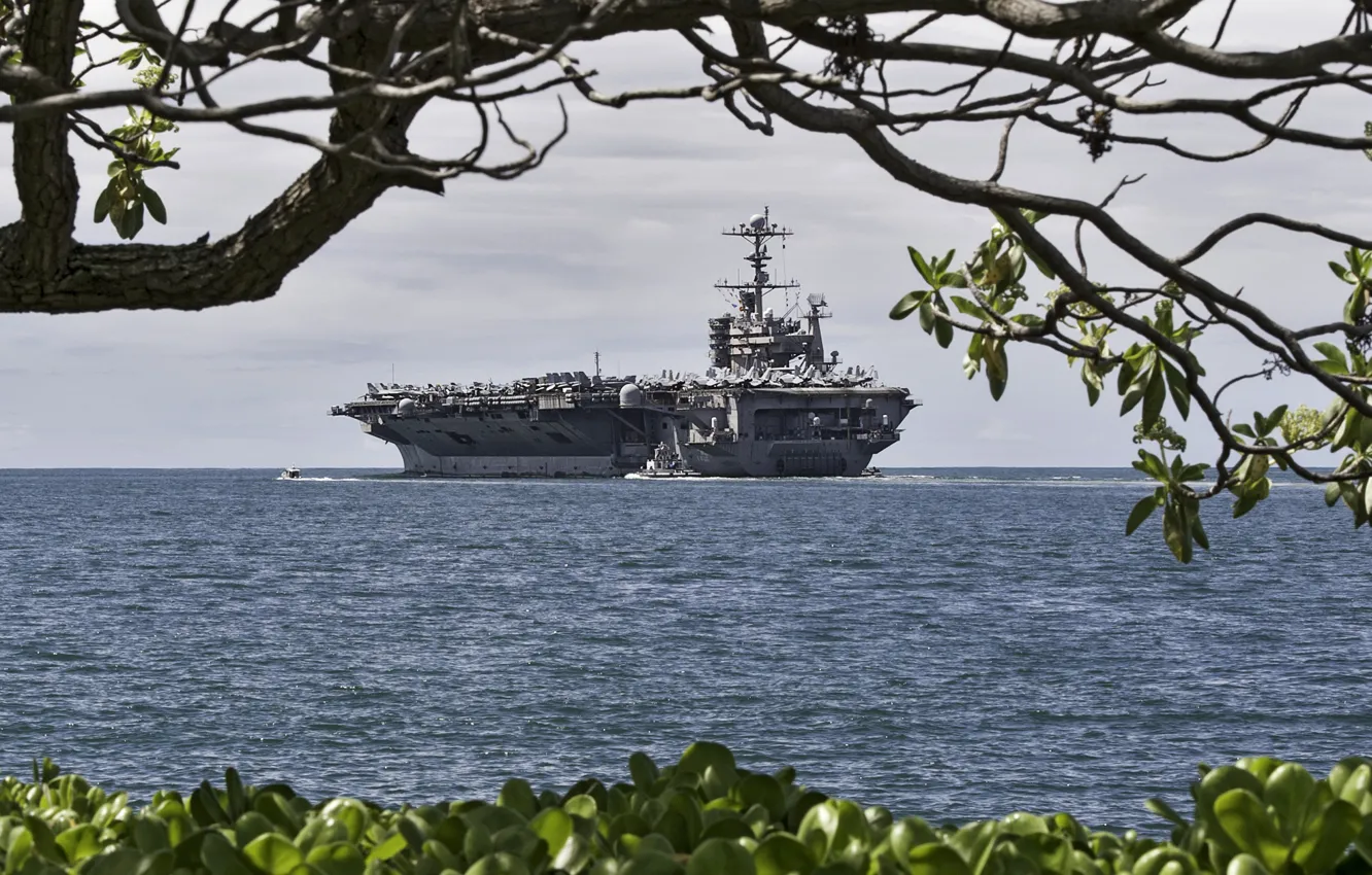Photo wallpaper sea, branches, tree, shore, ship, the carrier, view, American