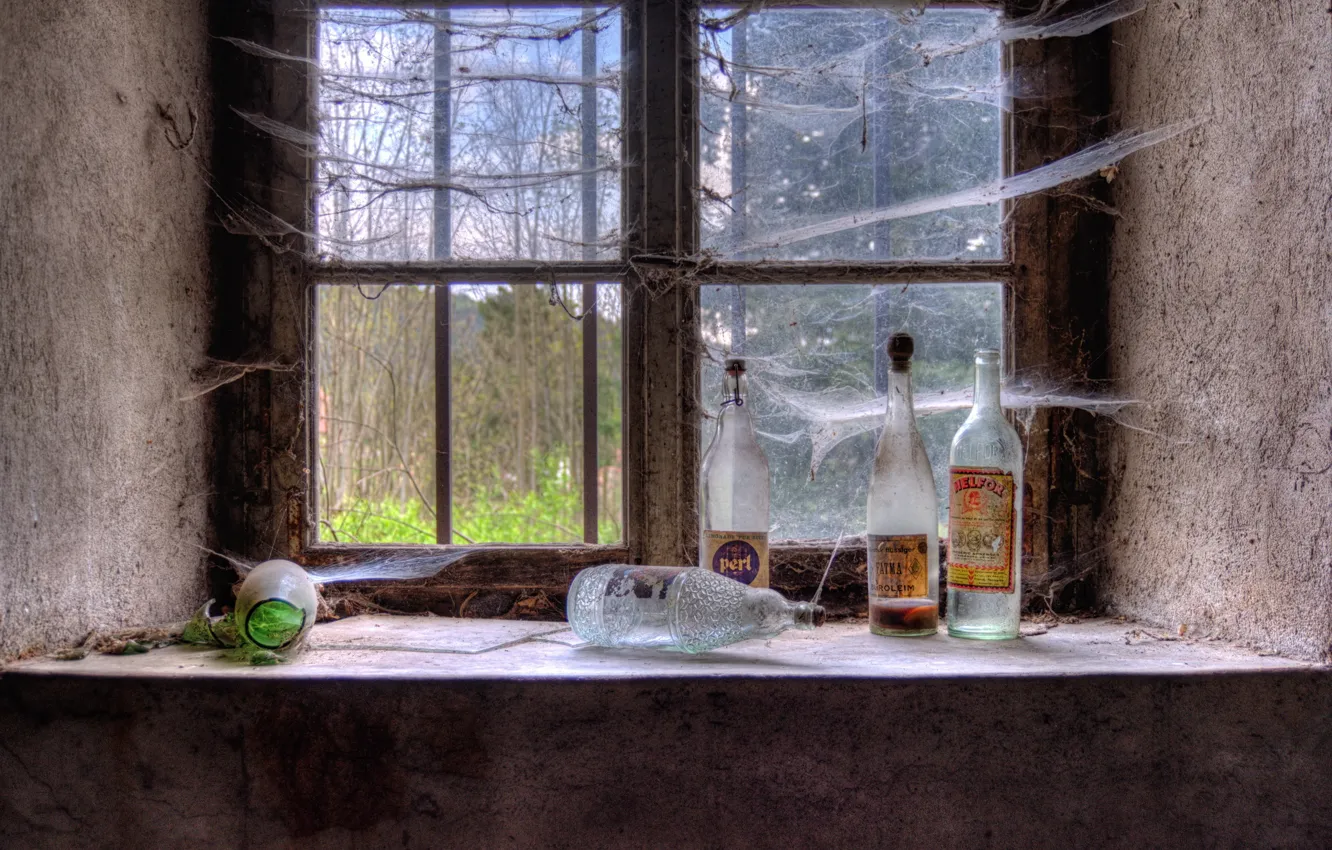 Photo wallpaper bottle, web, window