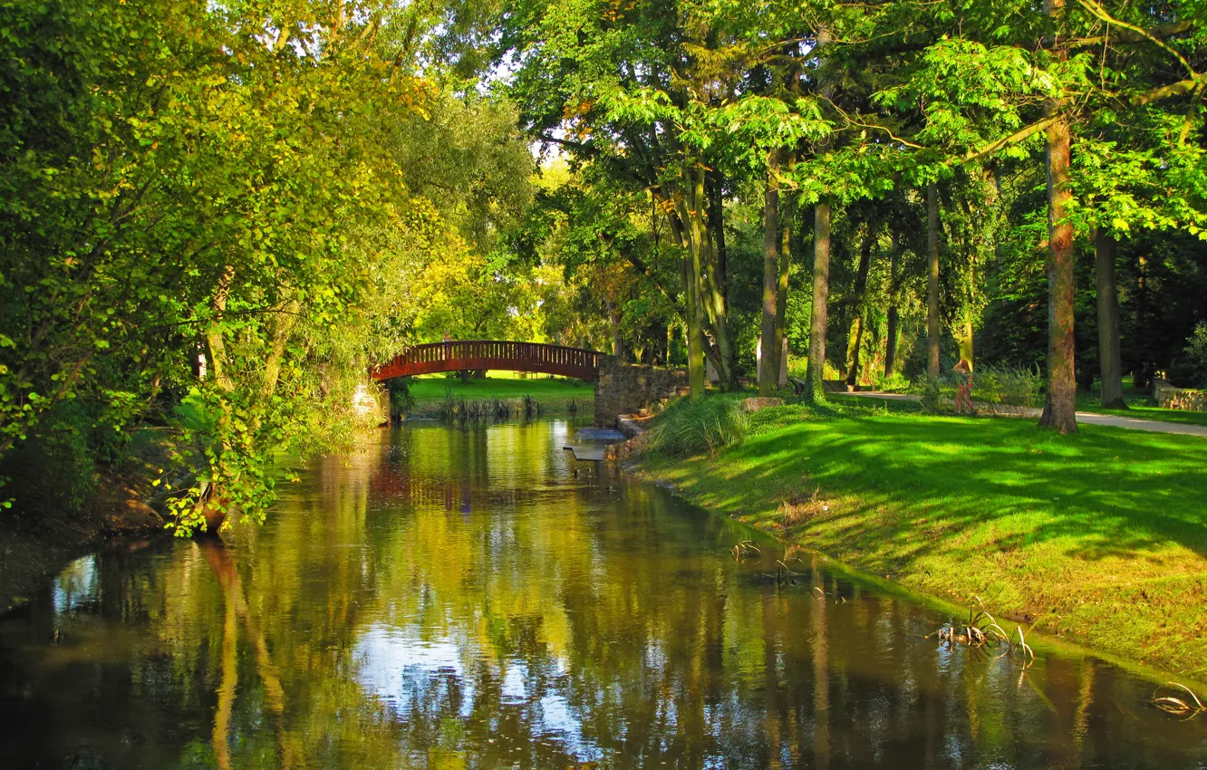 Photo wallpaper grass, trees, bridge, nature, Park, river, photo, Poland