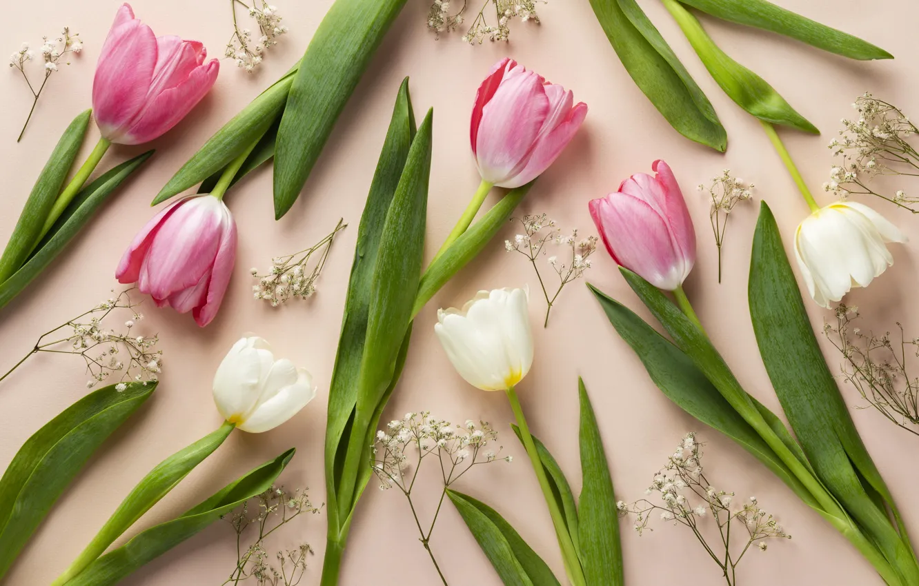 Photo wallpaper leaves, flowers, sprig, bouquet, spring, tulips, pink, white