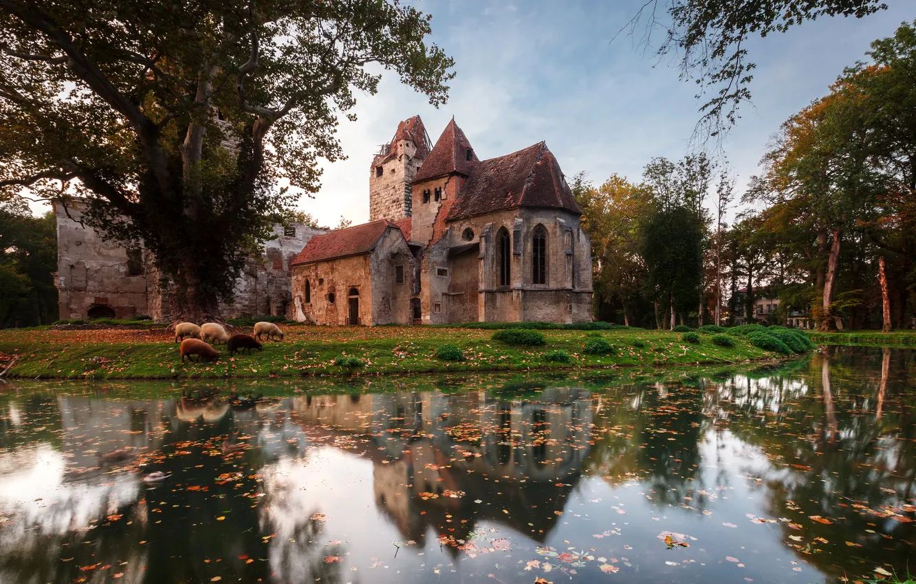 Photo wallpaper autumn, water, trees, pond, reflection, castle, sheep, Austria