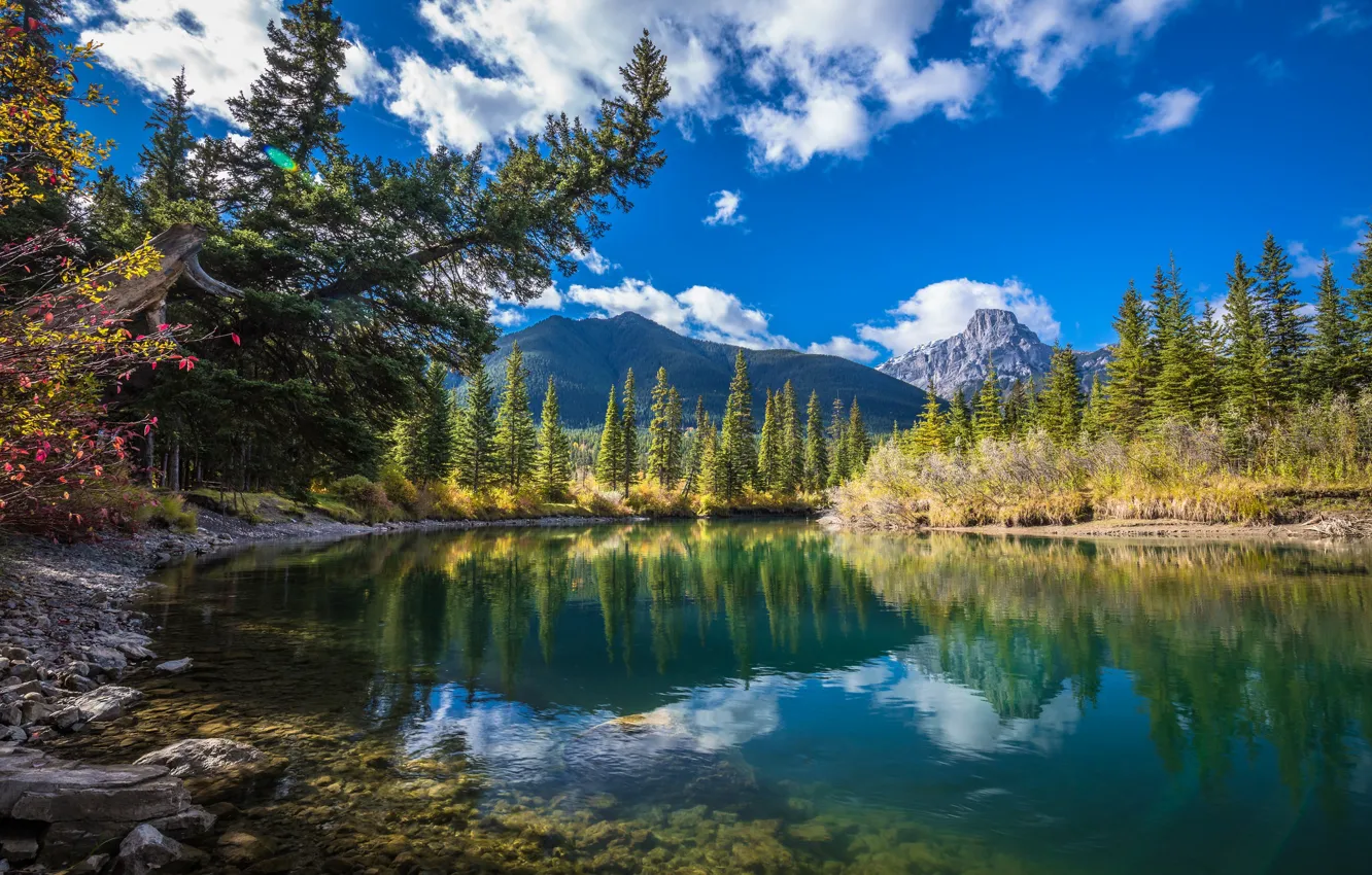 Photo wallpaper trees, mountains, lake, Canada, Albert, Alberta, Canada, Alberta's Rockies