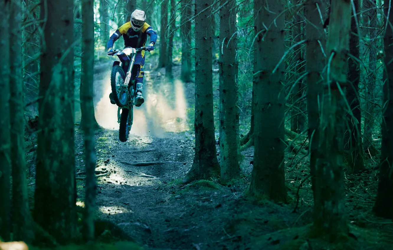 Photo wallpaper forest, trees, earth, dirt bike