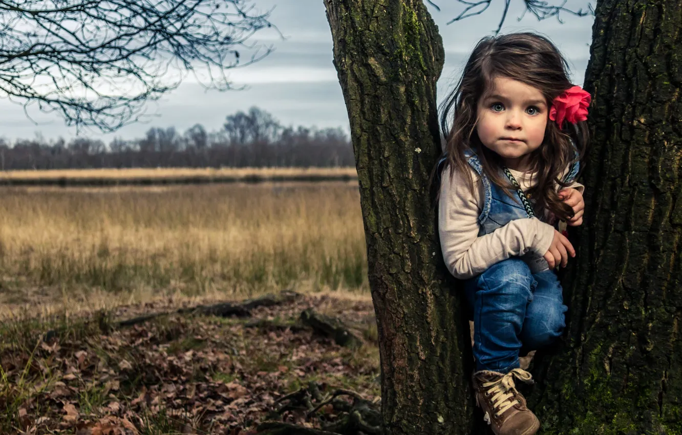 Photo wallpaper autumn, trees, girl