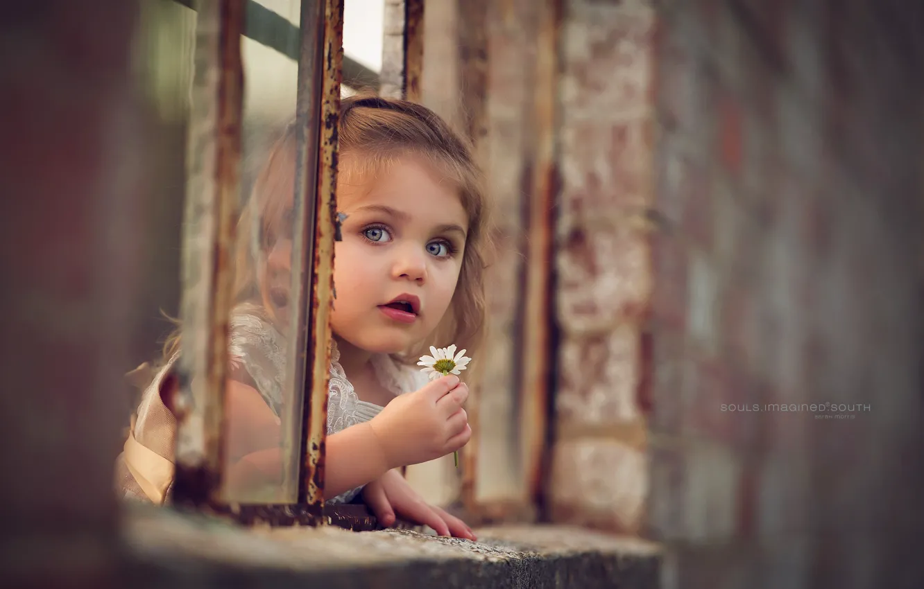 Photo wallpaper flowers, window, girl