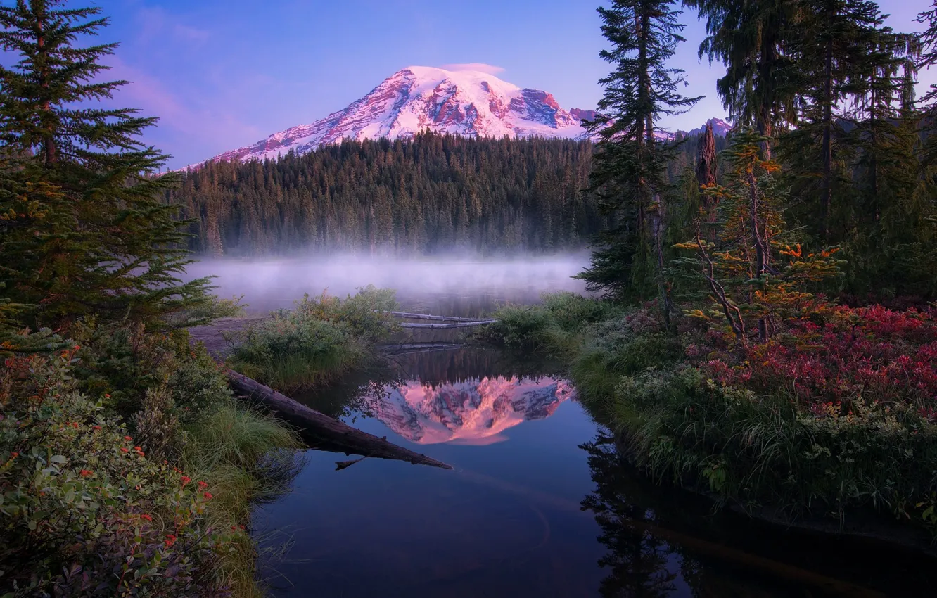Photo wallpaper forest, summer, reflection, mountain, USA