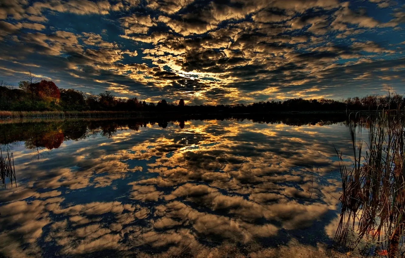 Photo wallpaper forest, the sky, water, reflection, Clouds