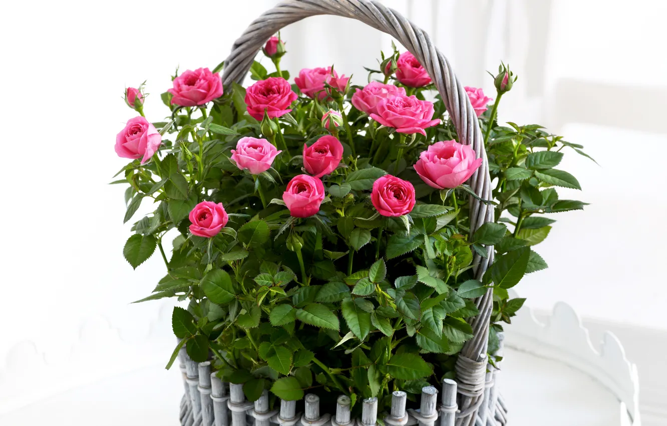 Photo wallpaper flowers, basket, roses, colorful, pink, rose, beautiful