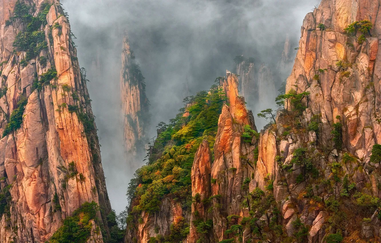 Photo wallpaper trees, mountains, fog, rocks, China, haze, pine, granite rocks
