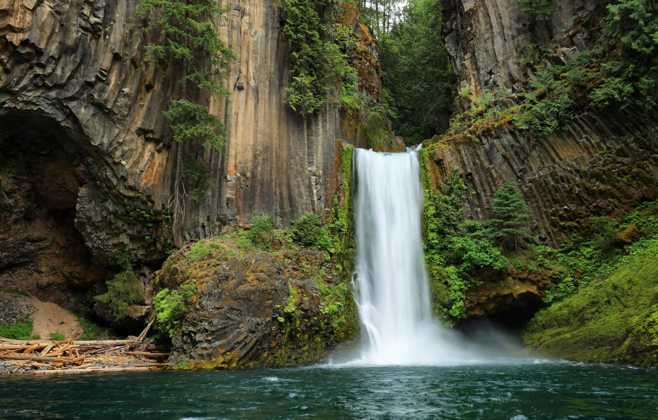 Photo wallpaper forest, trees, rocks, waterfall, USA, Oregon, Toketee Falls