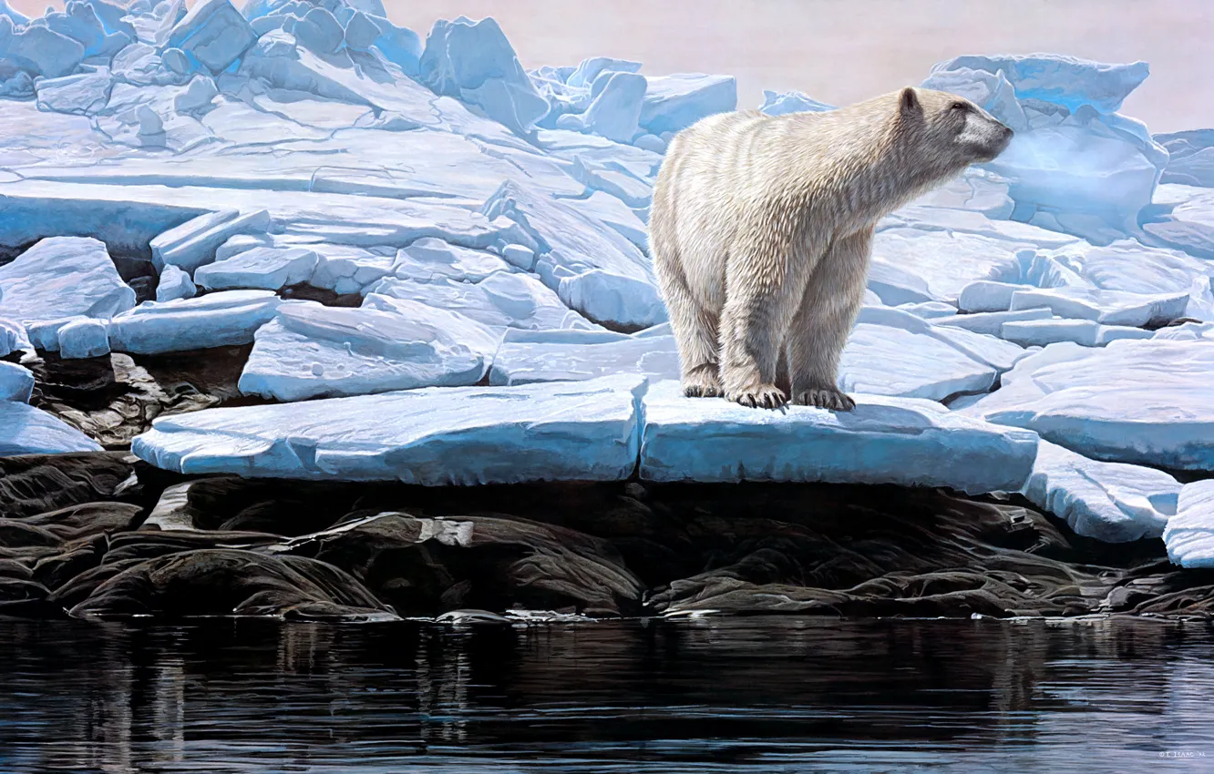Photo wallpaper winter, ice, polar bear, Terry Isaac