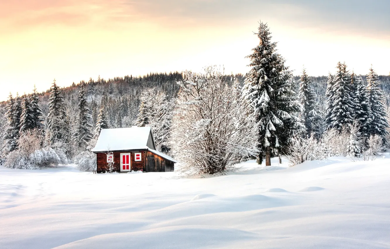 Photo wallpaper winter, forest, snow, trees, house, Winter lodge