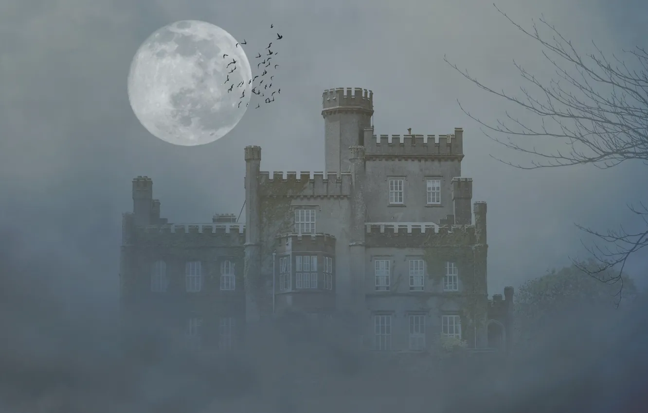 Photo wallpaper trees, birds, fog, castle, the moon, the darkness