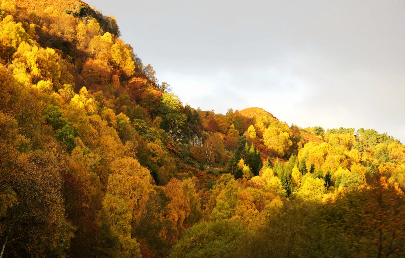 Photo wallpaper autumn, mountains, leaves, autumn colors, sunlight, fall, foliage, cloudy