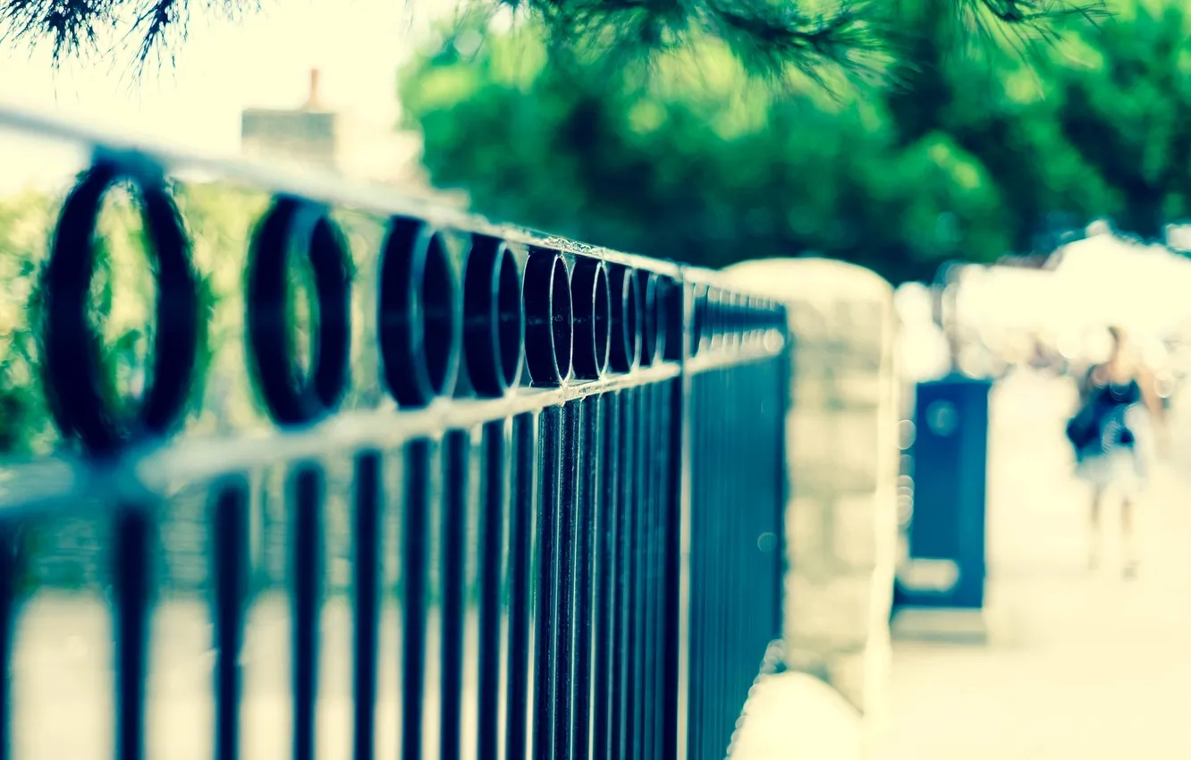 Photo wallpaper macro, trees, background, widescreen, Wallpaper, the fence, blur, the fence