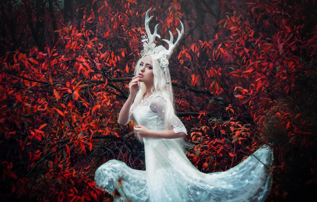 Photo wallpaper autumn, forest, look, girl, decoration, branches, nature, pose