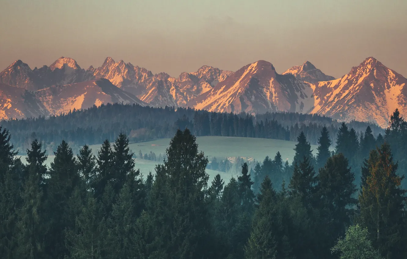 Photo wallpaper forest, the sky, mountains, nature