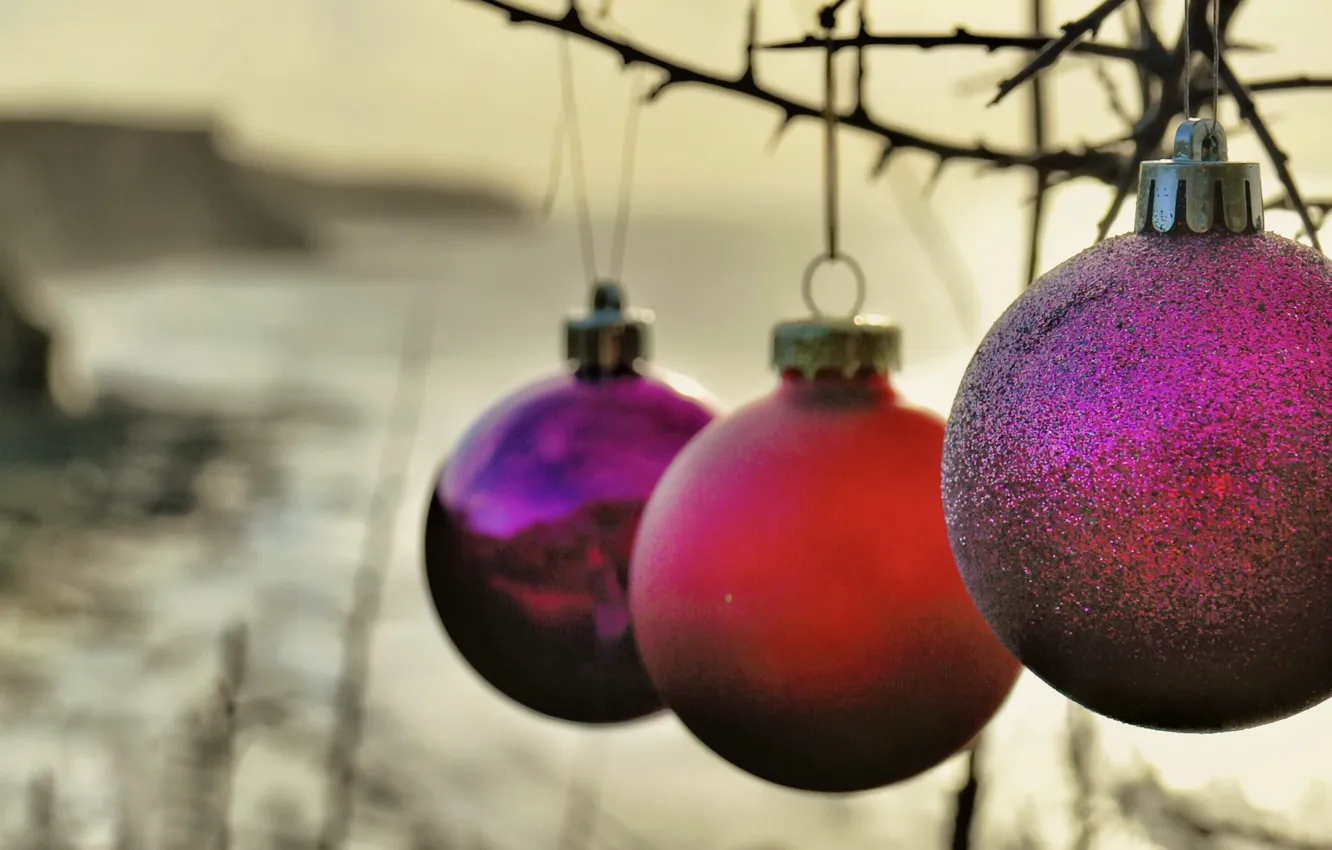 Photo wallpaper background, holiday, toy