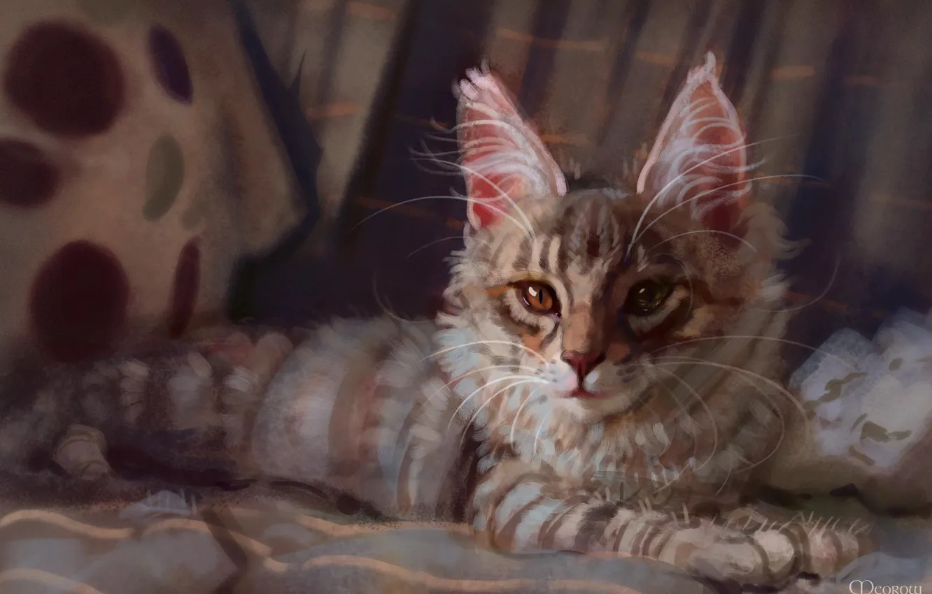 Photo wallpaper lies, kitty, Maine Coon