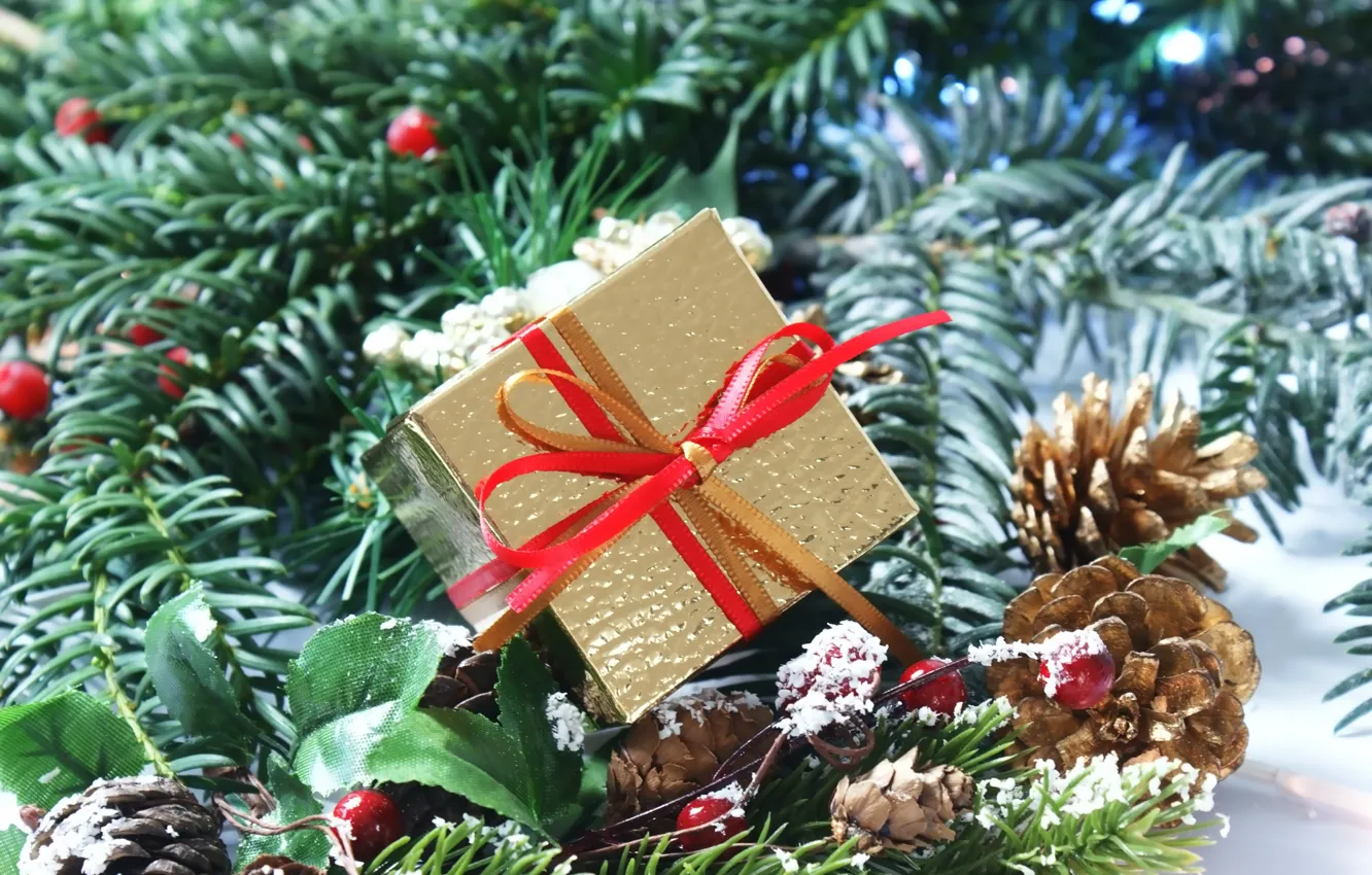 Photo wallpaper berries, gift, new year, spruce, bumps