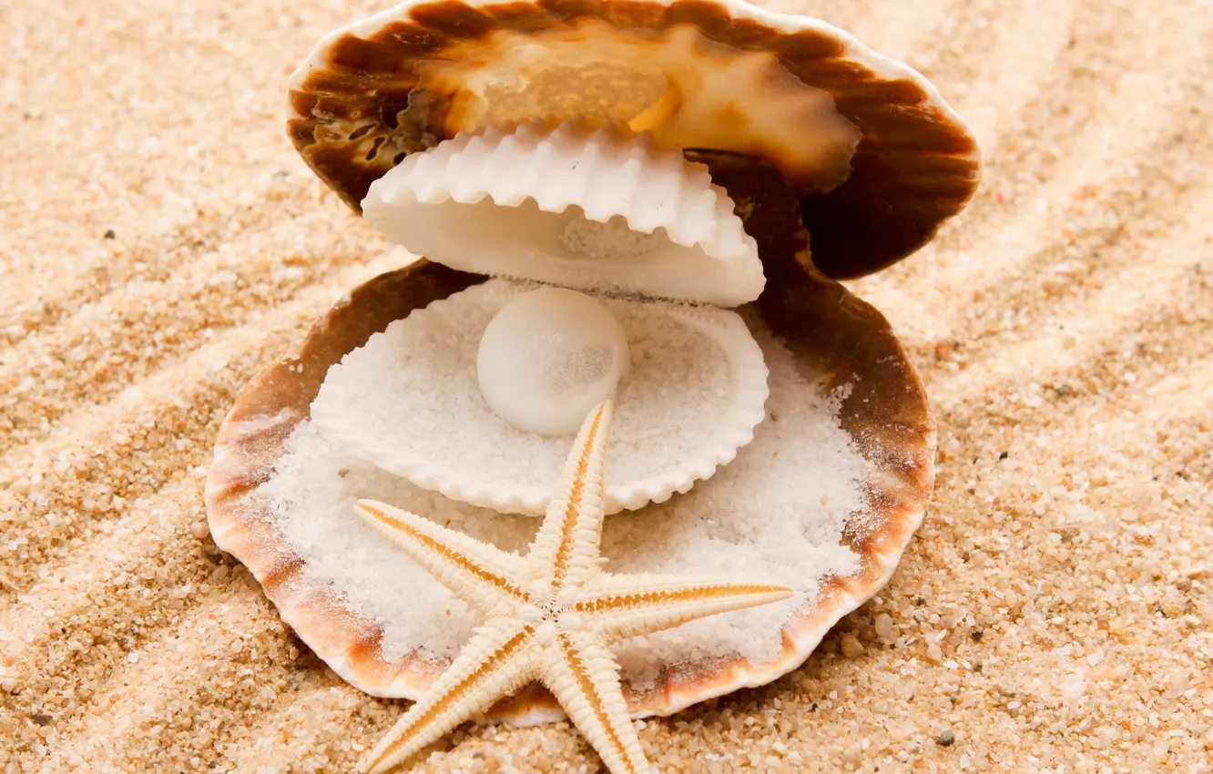 Photo wallpaper sand, sea, nature, starfish, pearl, seashells