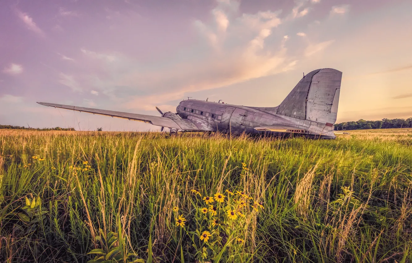 Photo wallpaper field, grass, the plane