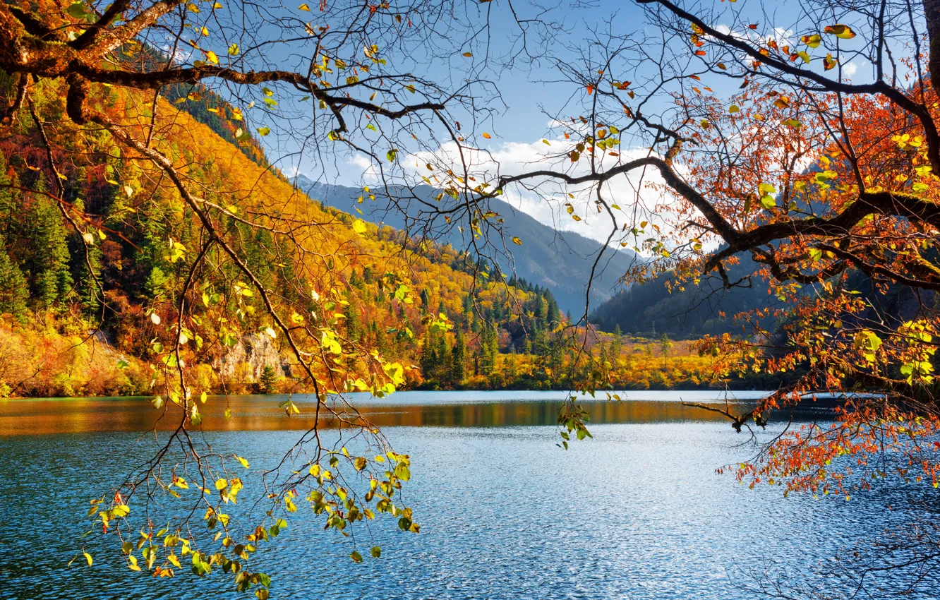 Photo wallpaper autumn, forest, the sky, leaves, the sun, clouds, trees, mountains