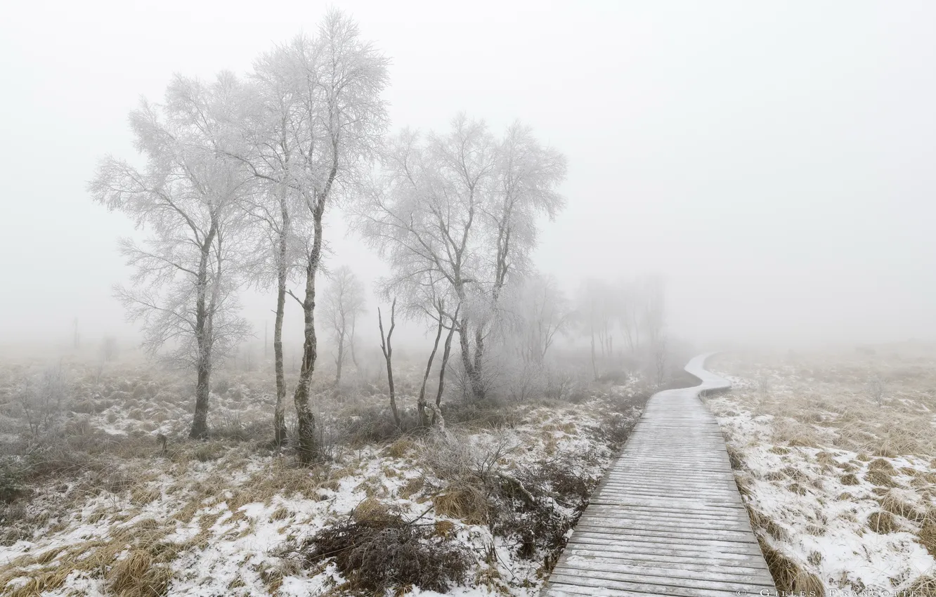 Photo wallpaper winter, fog, track