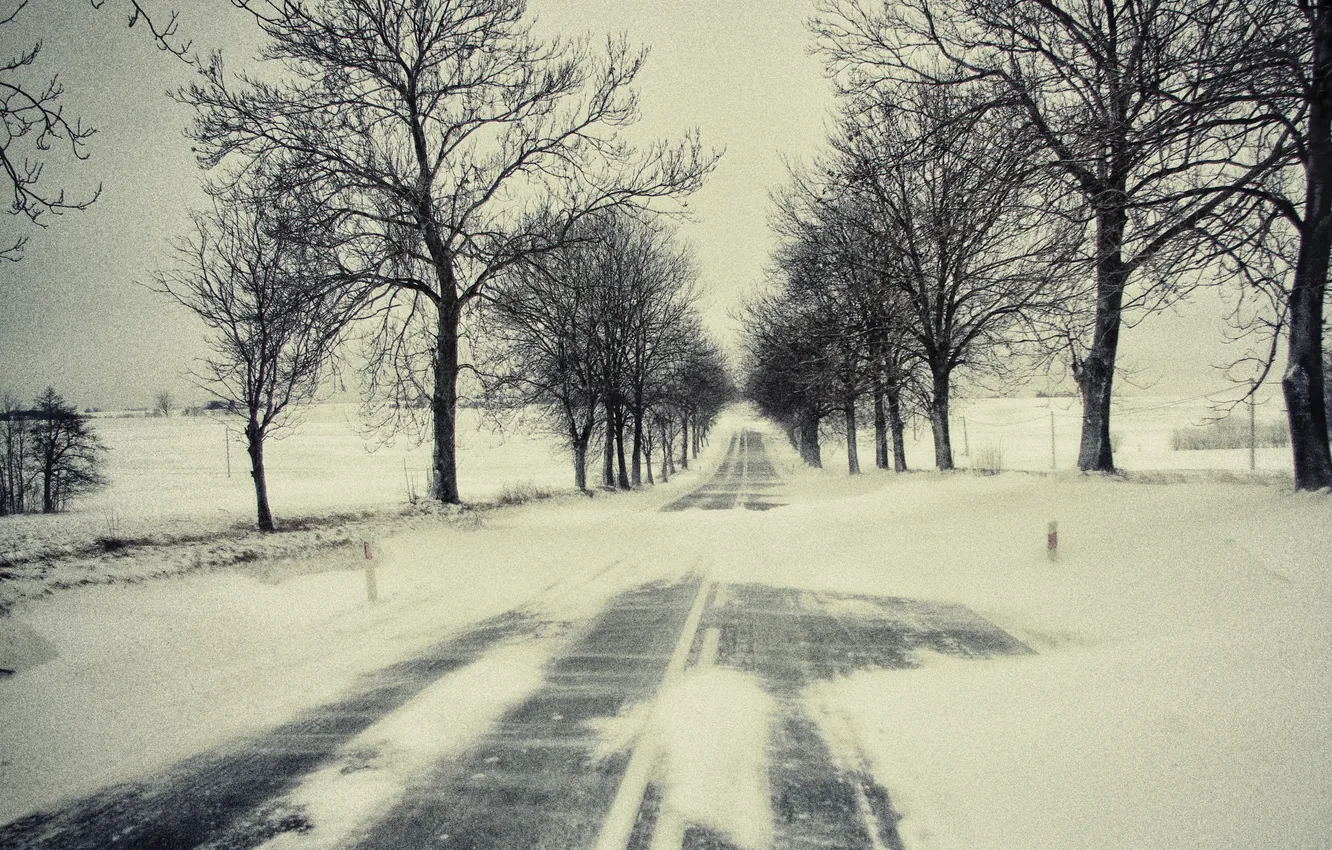 Photo wallpaper winter, road, snow, trees, branches