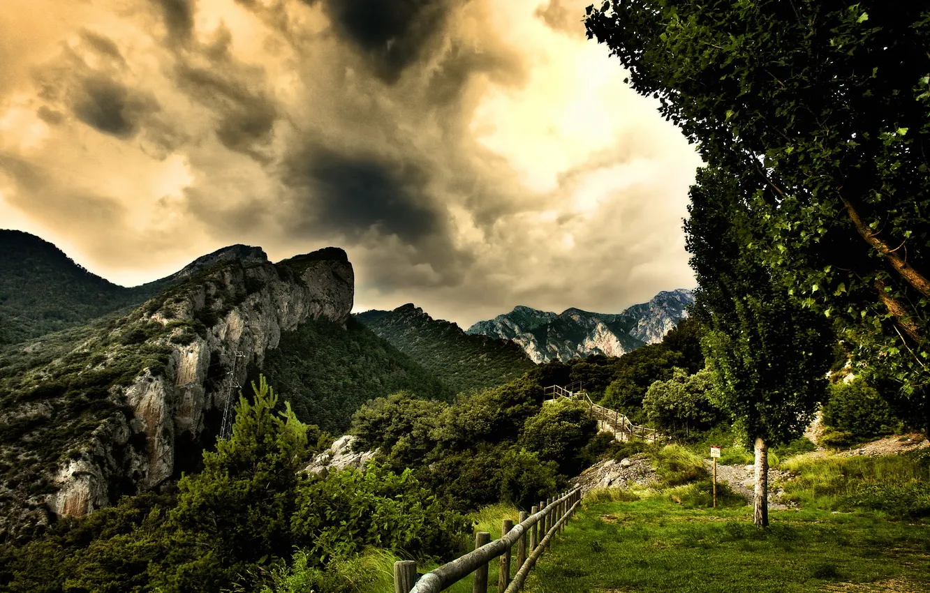 Photo wallpaper forest, the sky, mountains, view, fence, beautiful, path, photographer