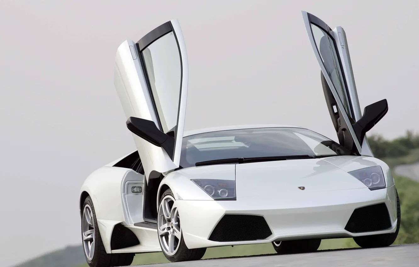 Photo wallpaper white, Lamborghini, murcielago