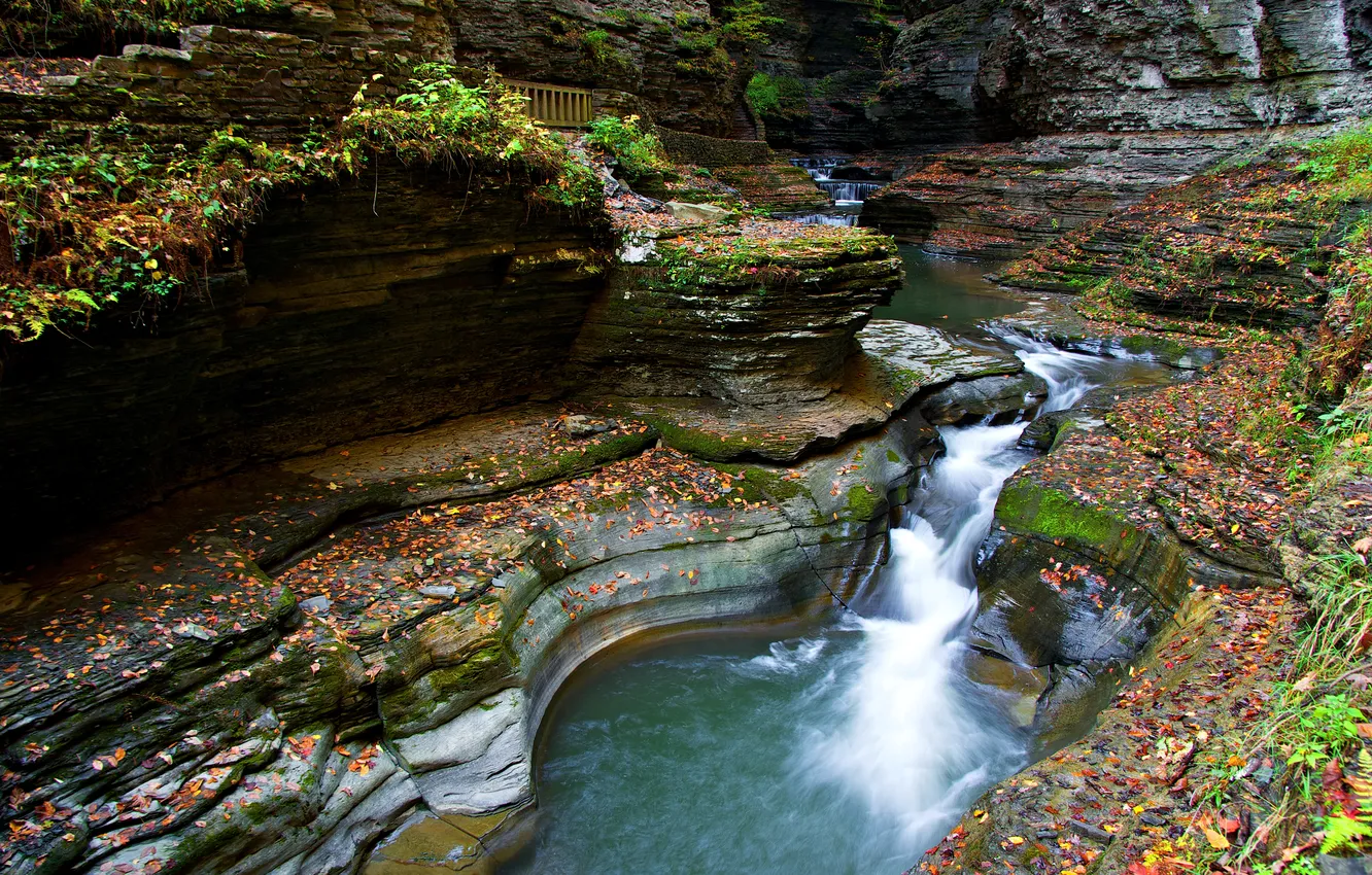 Photo wallpaper autumn, river, rocks, stream, gorge