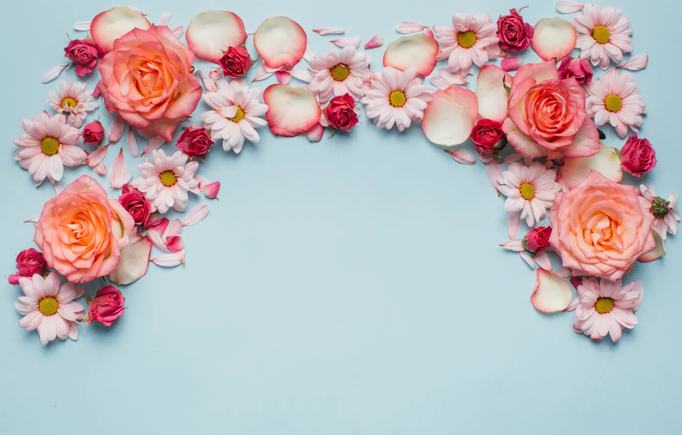 Photo wallpaper flowers, roses, chamomile, pink, fresh, wood, pink, flowers