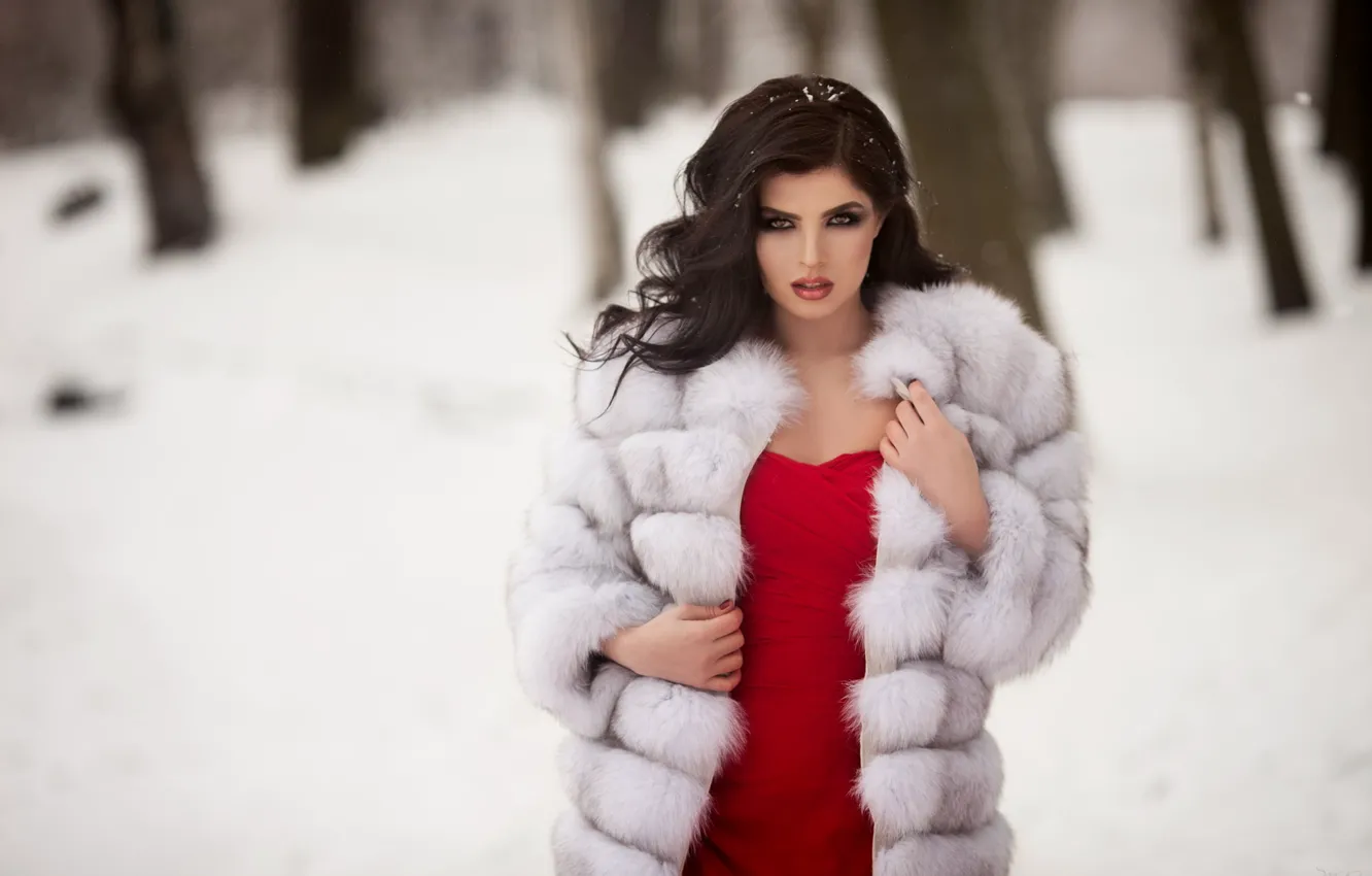 Photo wallpaper winter, look, snow, trees, pose, model, portrait, makeup