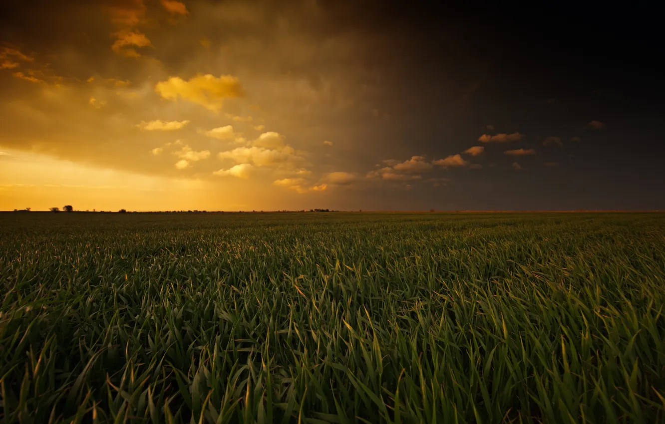 Photo wallpaper field, the sky, grass, landscape, sunset, nature, horizon, glow
