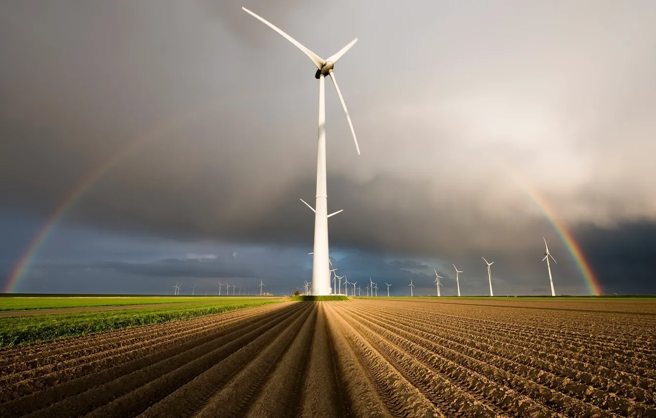 Photo wallpaper field, summer, windmills