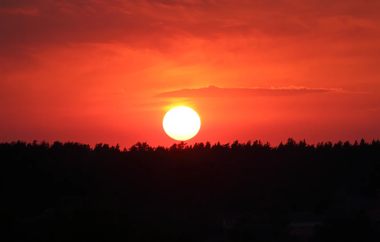 Photo wallpaper the sun, sunset, the evening, glow