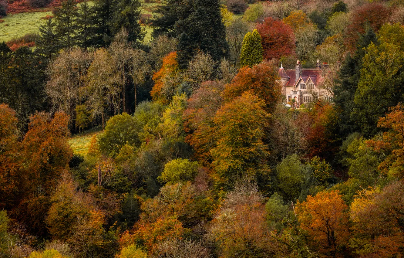 Photo wallpaper autumn, forest, castle, thickets