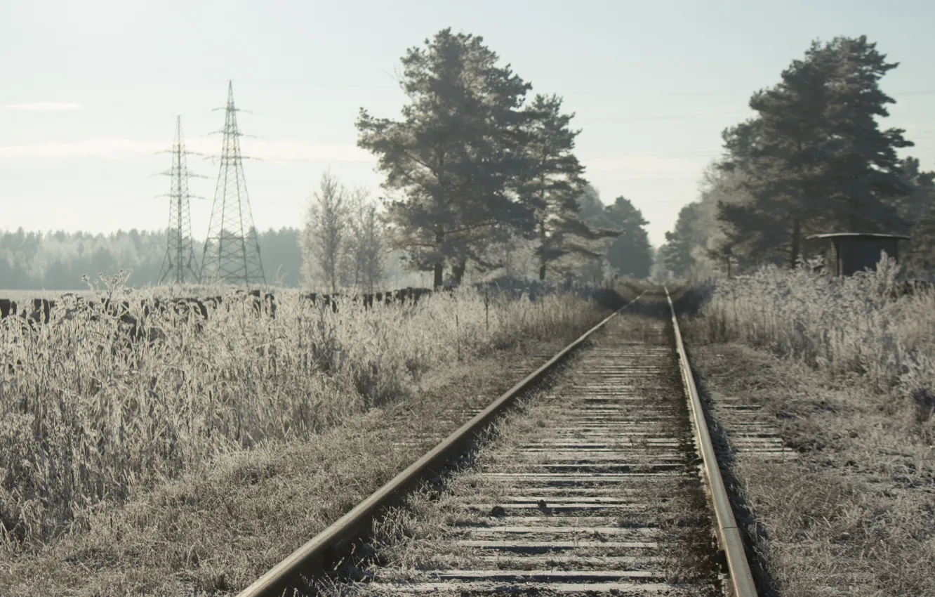 Photo wallpaper frost, forest, snow, railroad